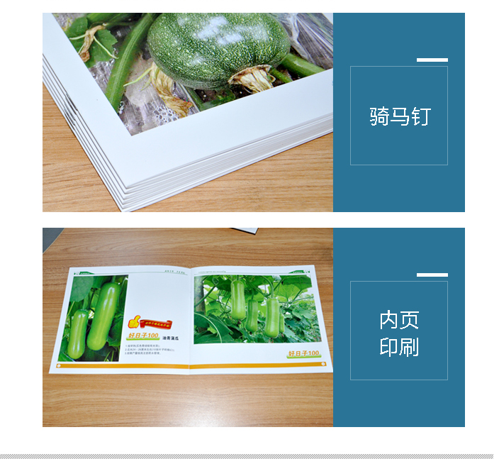 云顶彩票