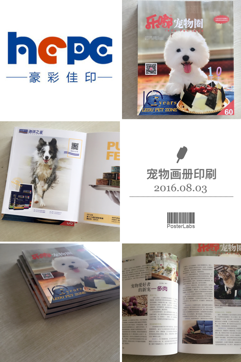 云顶彩票宠物画册印刷厂