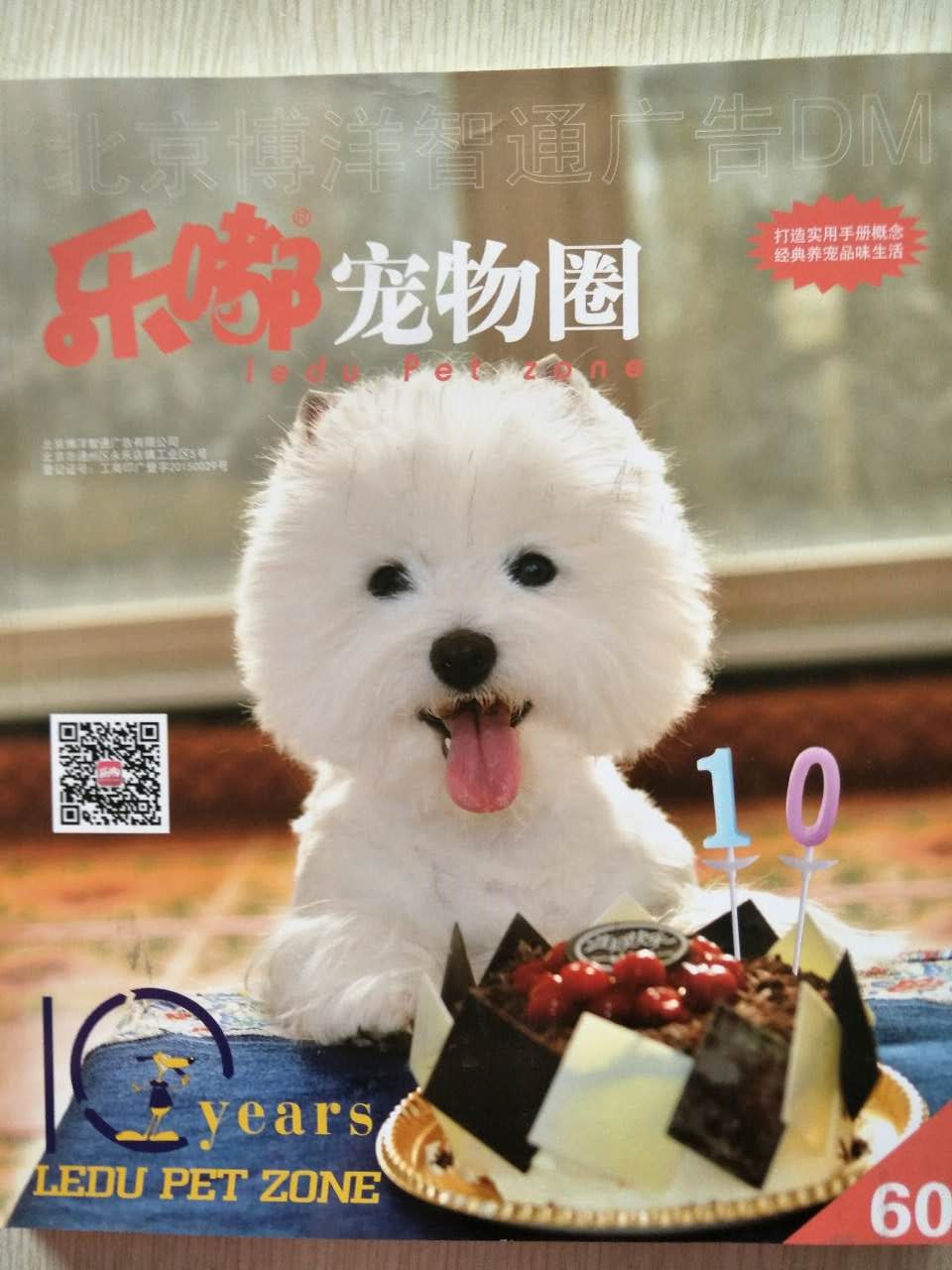 企业宣传册印刷——云顶彩票做印刷您放心!