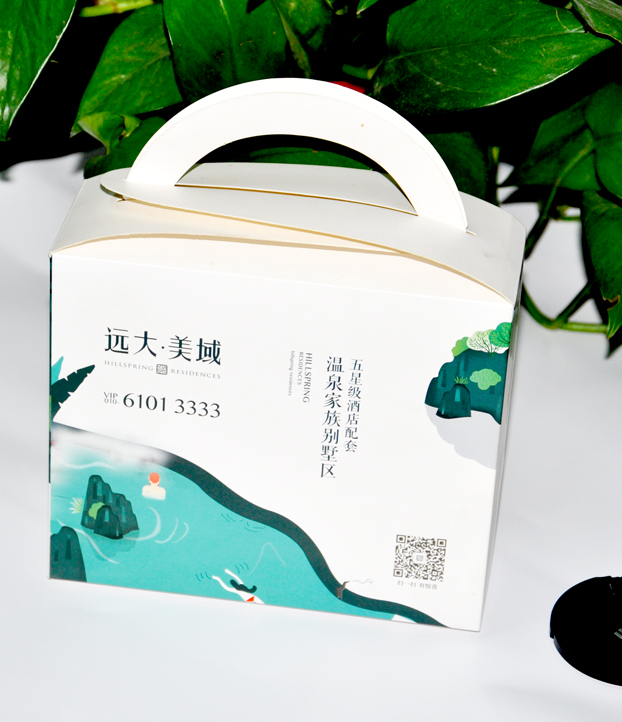 远大美域包装盒
